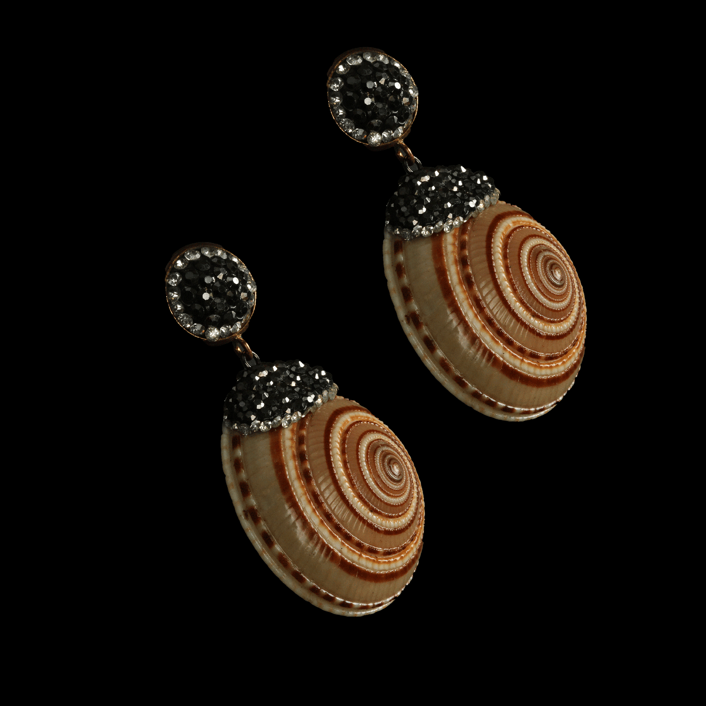 Sea Shell Earring